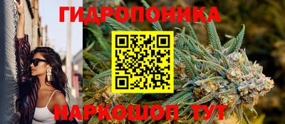 хмурый Кинель