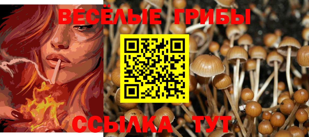 Галлюциногенные грибы Psilocybine cubensis  Псилоцибиновые грибы MAGIC MUSHROOMS  Вход с VPN  где купить наркотик  Юрга 